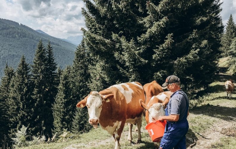 Eindrücke vom Urlaub am Kinderbauernhof Sinnhubgut in Altenmarkt-Zauchensee, Salzburger Land