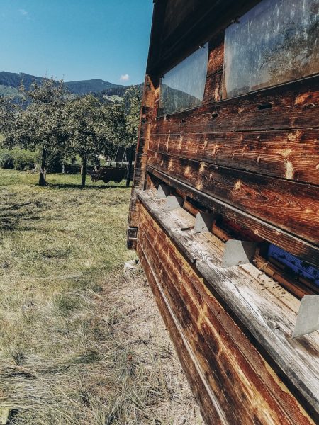 Eindrücke vom Bauernhofurlaub Sinnhubgut in Altenmarkt-Zauchensee | Österreich