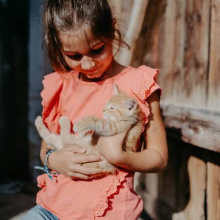 Katze - Streichelzoo | Bauernhofurlaub Sinnhubgut in Altenmarkt-Zauchensee | Österreich