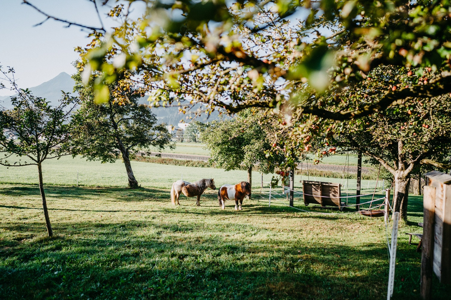 Pony reiten am Bauernhofurlaub Sinnhubgut in Altenmarkt-Zauchensee | Österreich