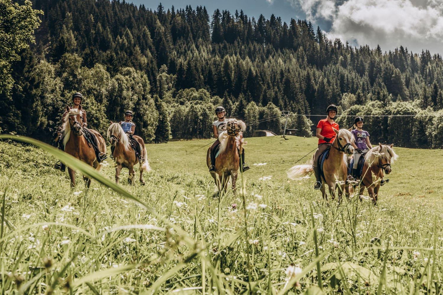 Reiten - Sommerurlaub in Altenmarkt - Zauchensee | Bauernhofurlaub Sinnhubgut