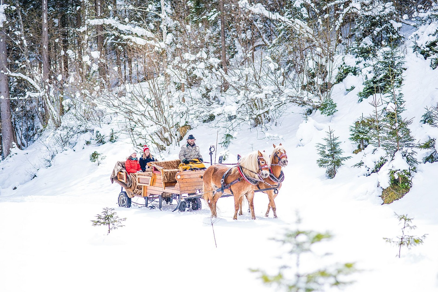 Pferdeschlittenfahrt in Altenmarkt-Zauchensee - Winterurlaub am Bauernhofurlaub Sinnhubgut