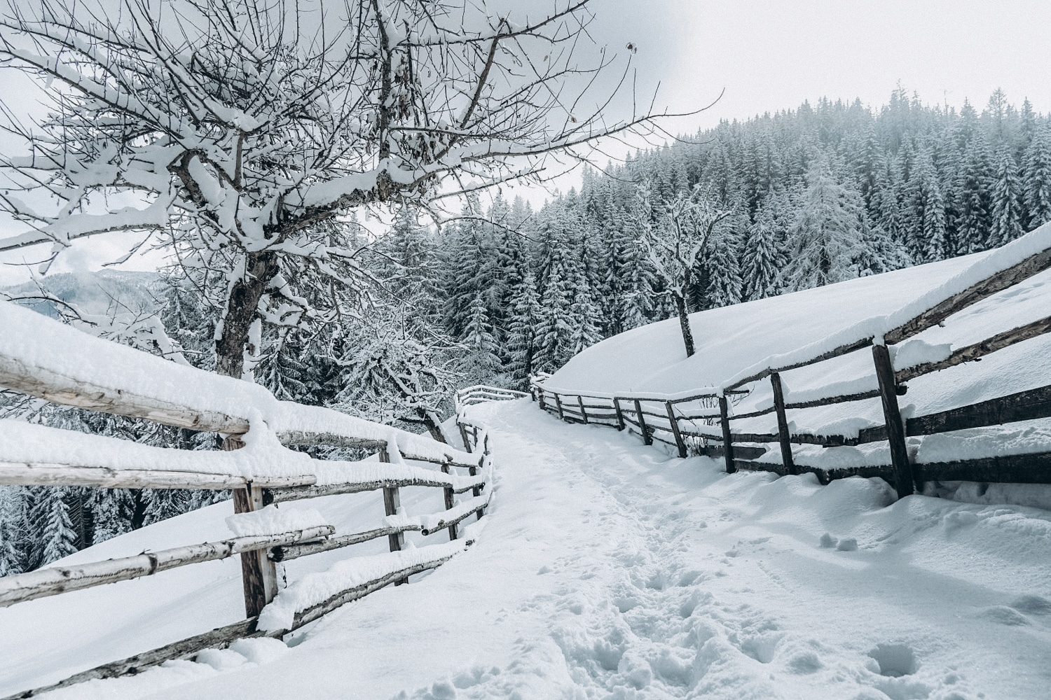 Winterlandschaft Altenmarkt-Zauchensee - Winterurlaub am Bauernhofurlaub Sinnhubgut