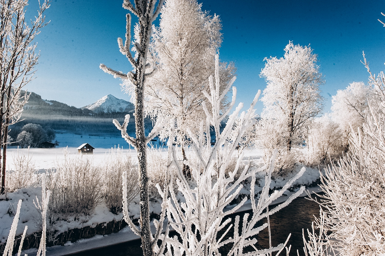 Winterlandschaft Altenmarkt-Zauchensee - Winterurlaub am Bauernhofurlaub Sinnhubgut